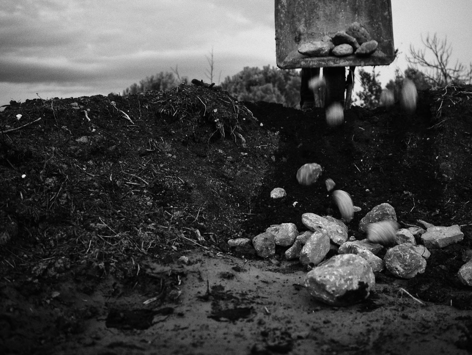 Mots de Calç i Sal | © Sergi Batlle Mots de Calç i Sal | © Sergi Batlle