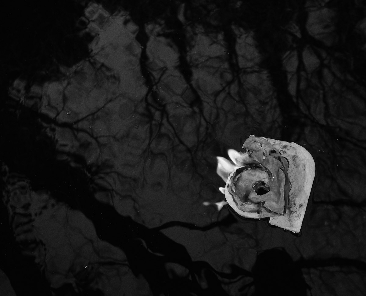 Mots de Calç i Sal | © Sergi Batlle