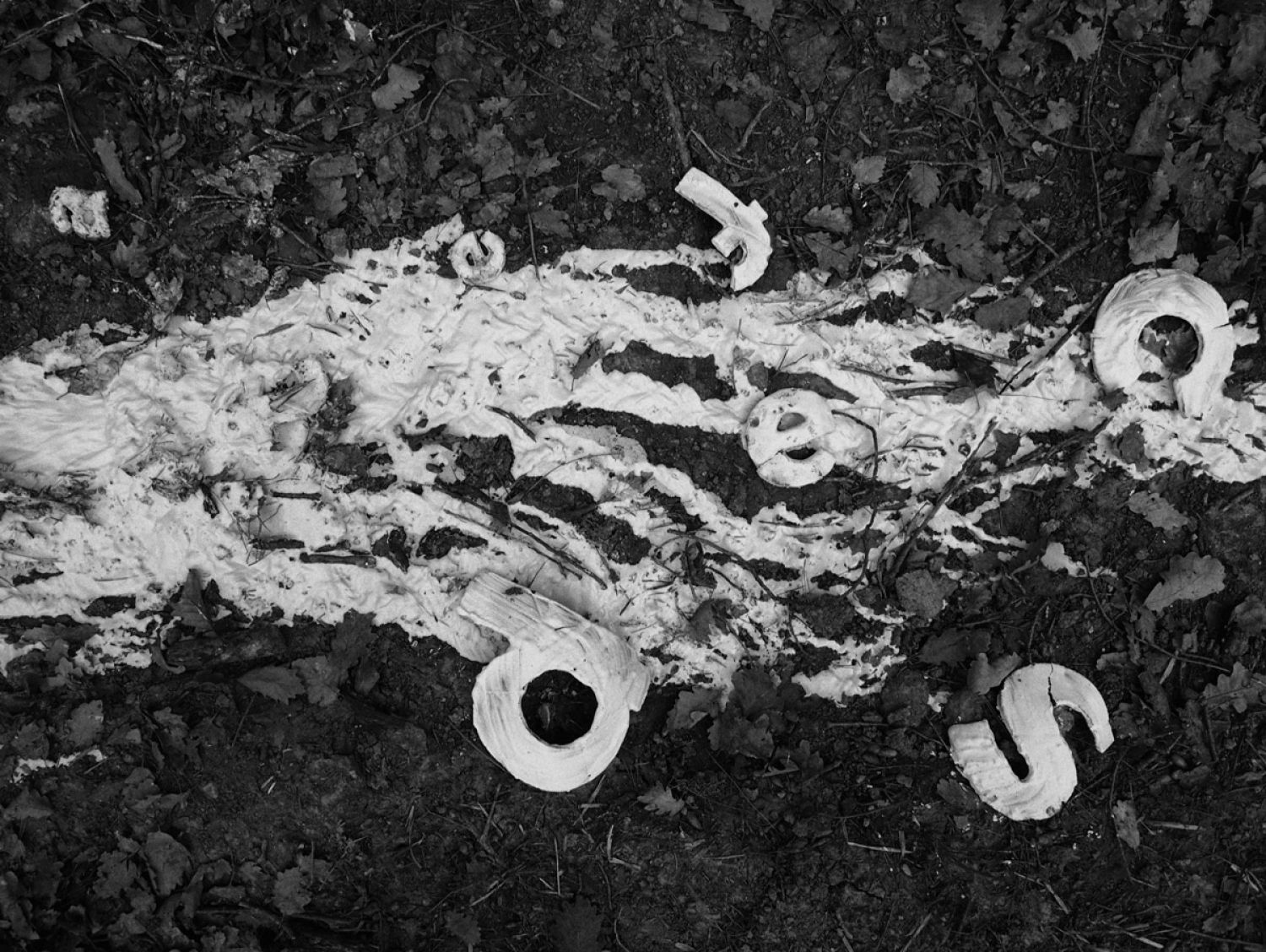 Mots de Calç i Sal | © Sergi Batlle Mots de Calç i Sal | © Sergi Batlle