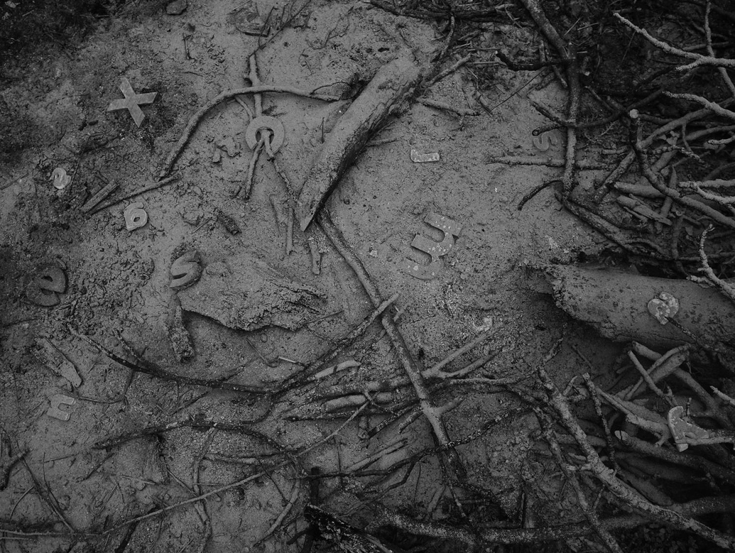 Mots de Calç i Sal | © Sergi Batlle Mots de Calç i Sal | © Sergi Batlle