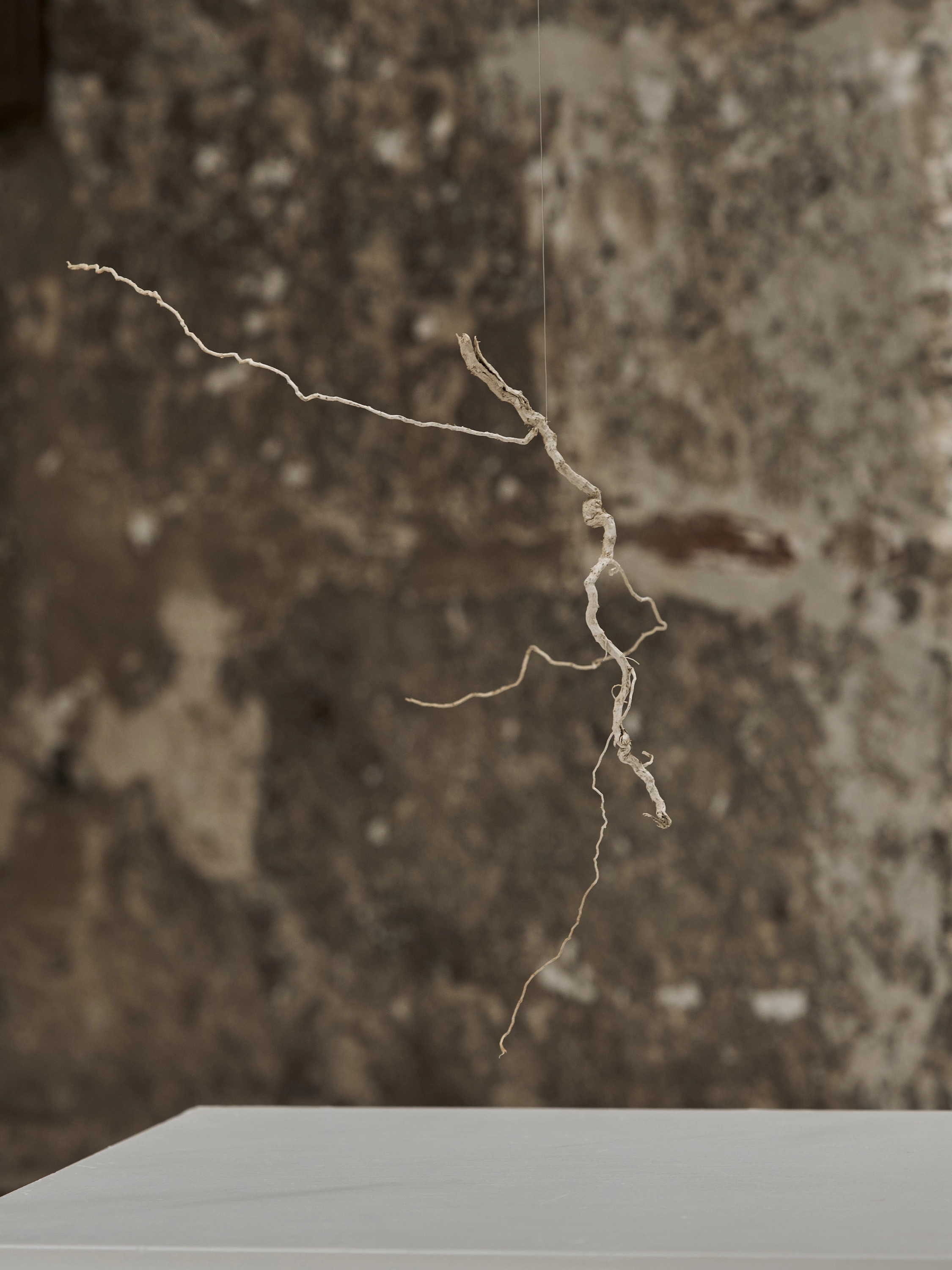Cubil—Castillo de las Siete Torres (Orce)
