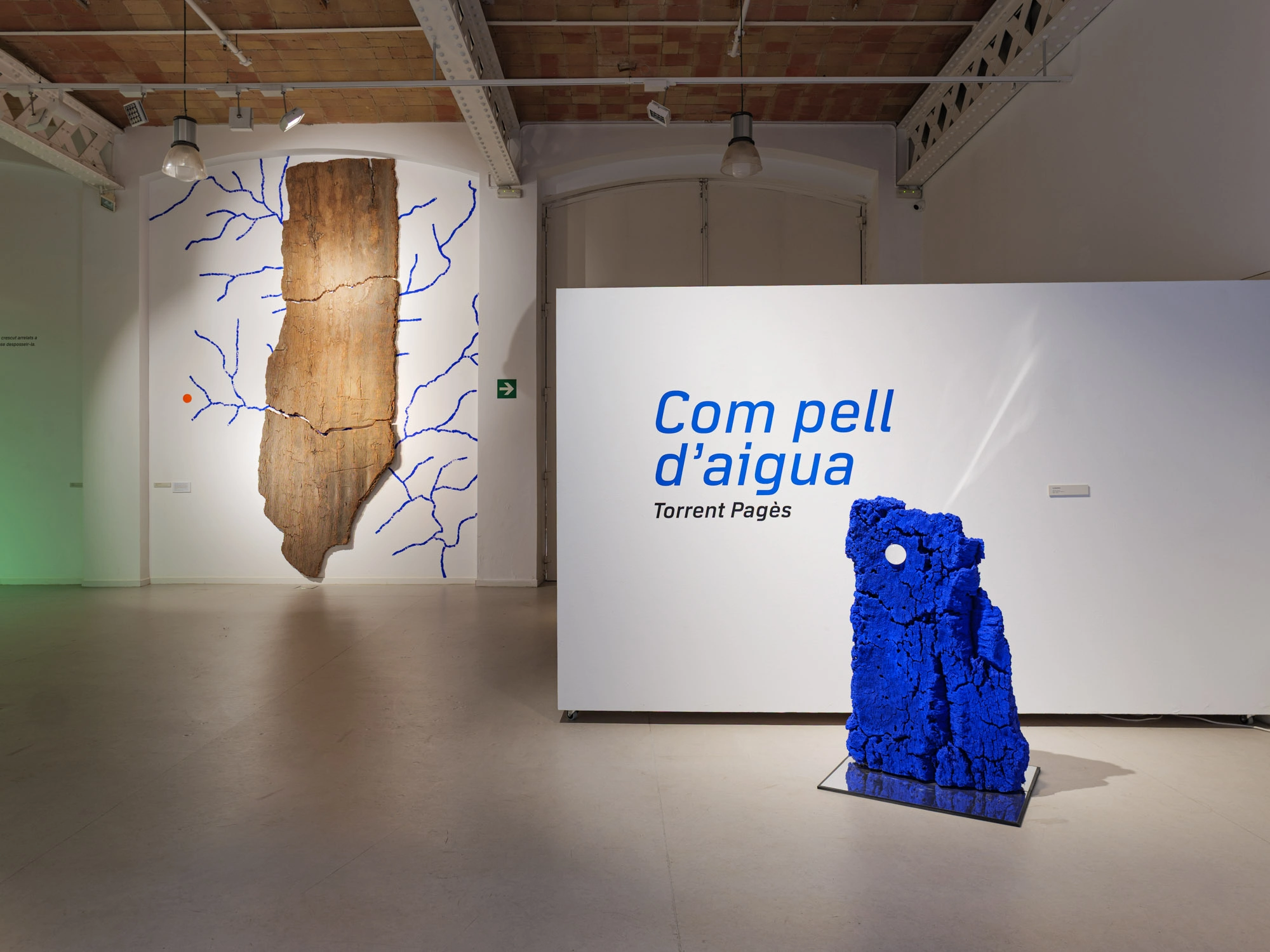 Com pell d’aigua | © Sergi Batlle