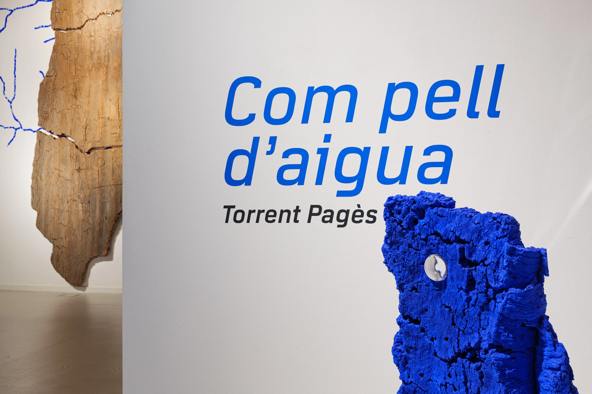 Com pell d’aigua | © Sergi Batlle