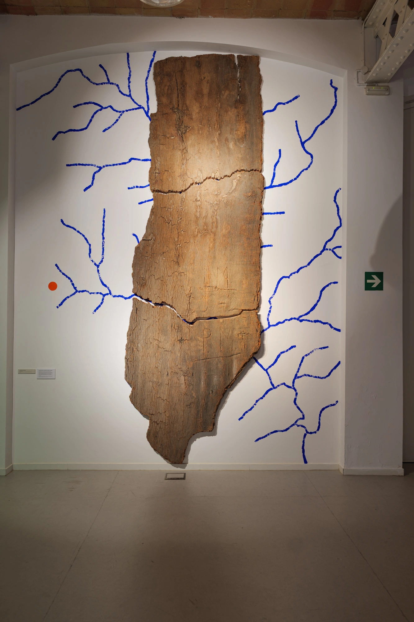 Com pell d'aigua | © Sergi Batlle