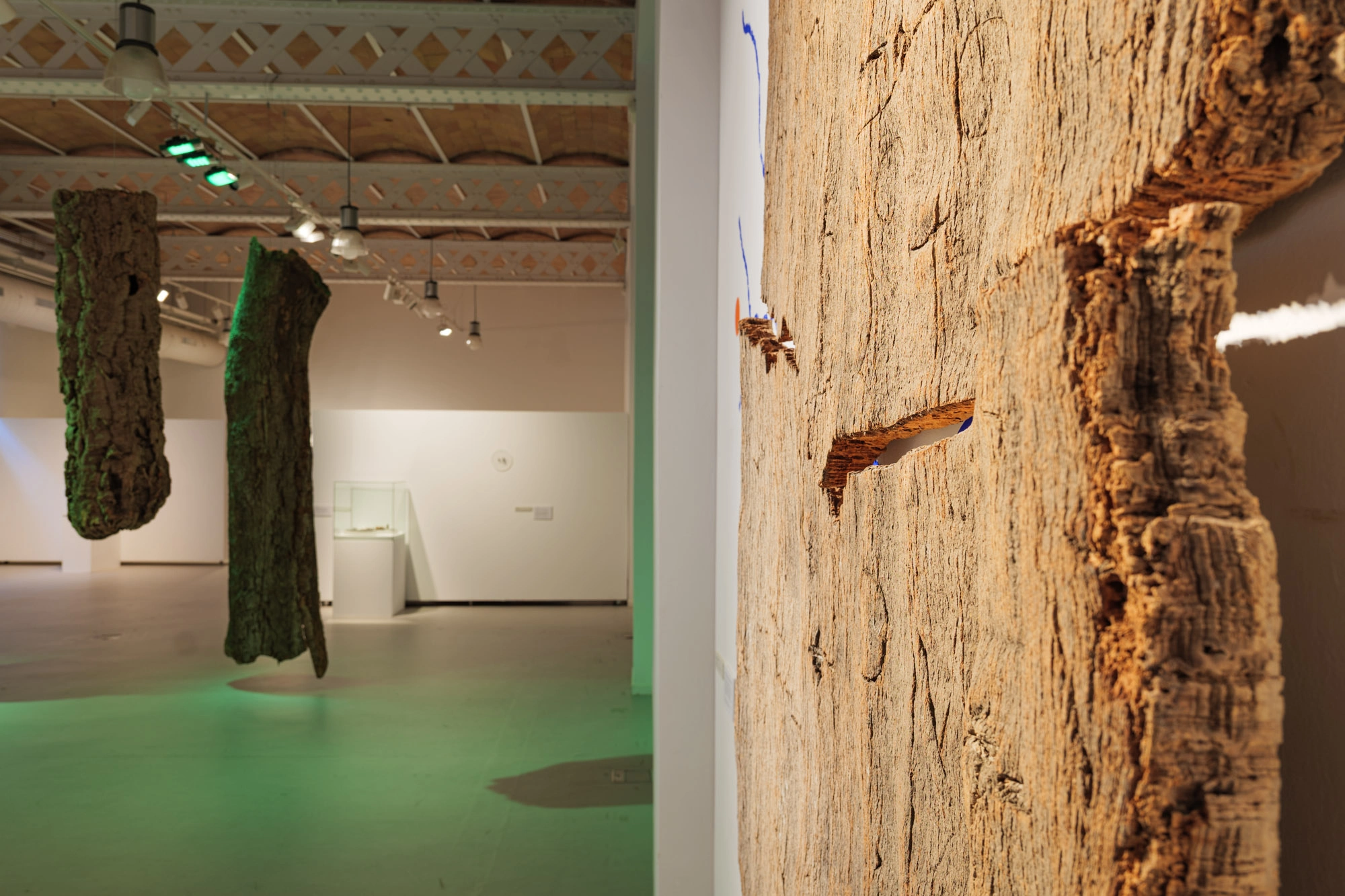 Com pell d'aigua | © Sergi Batlle