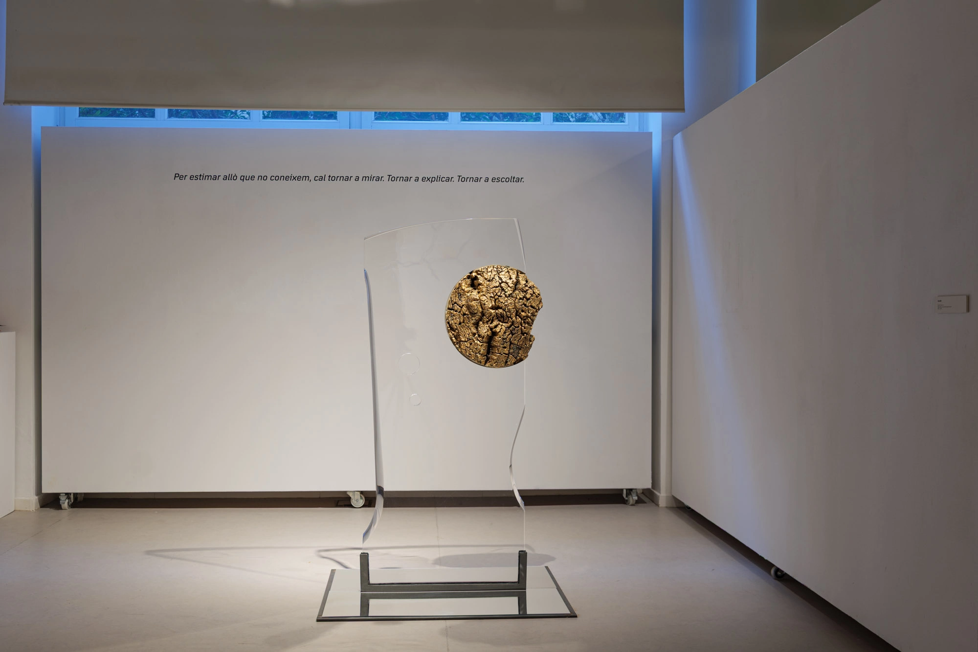 Com pell d'aigua | © Sergi Batlle