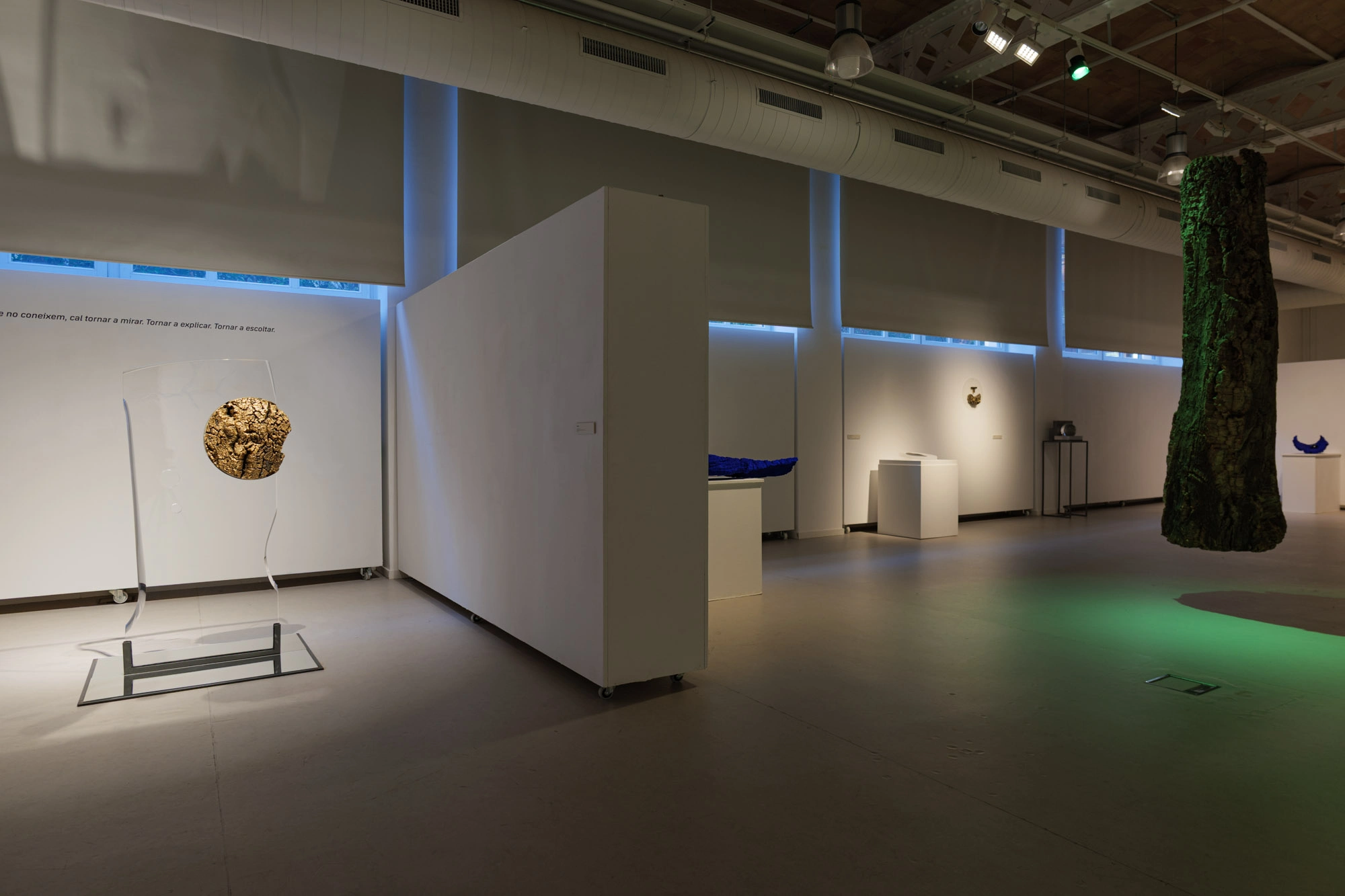 Com pell d'aigua | © Sergi Batlle