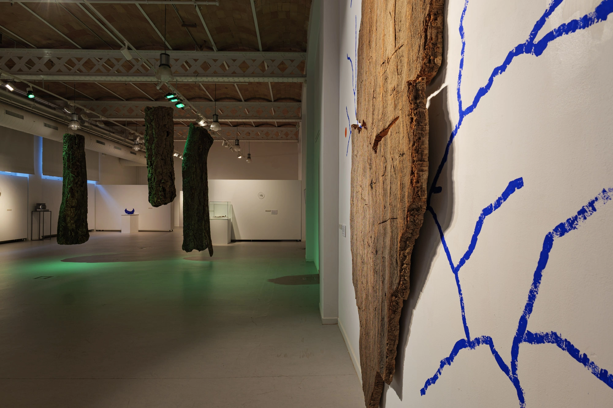 Com pell d'aigua | © Sergi Batlle