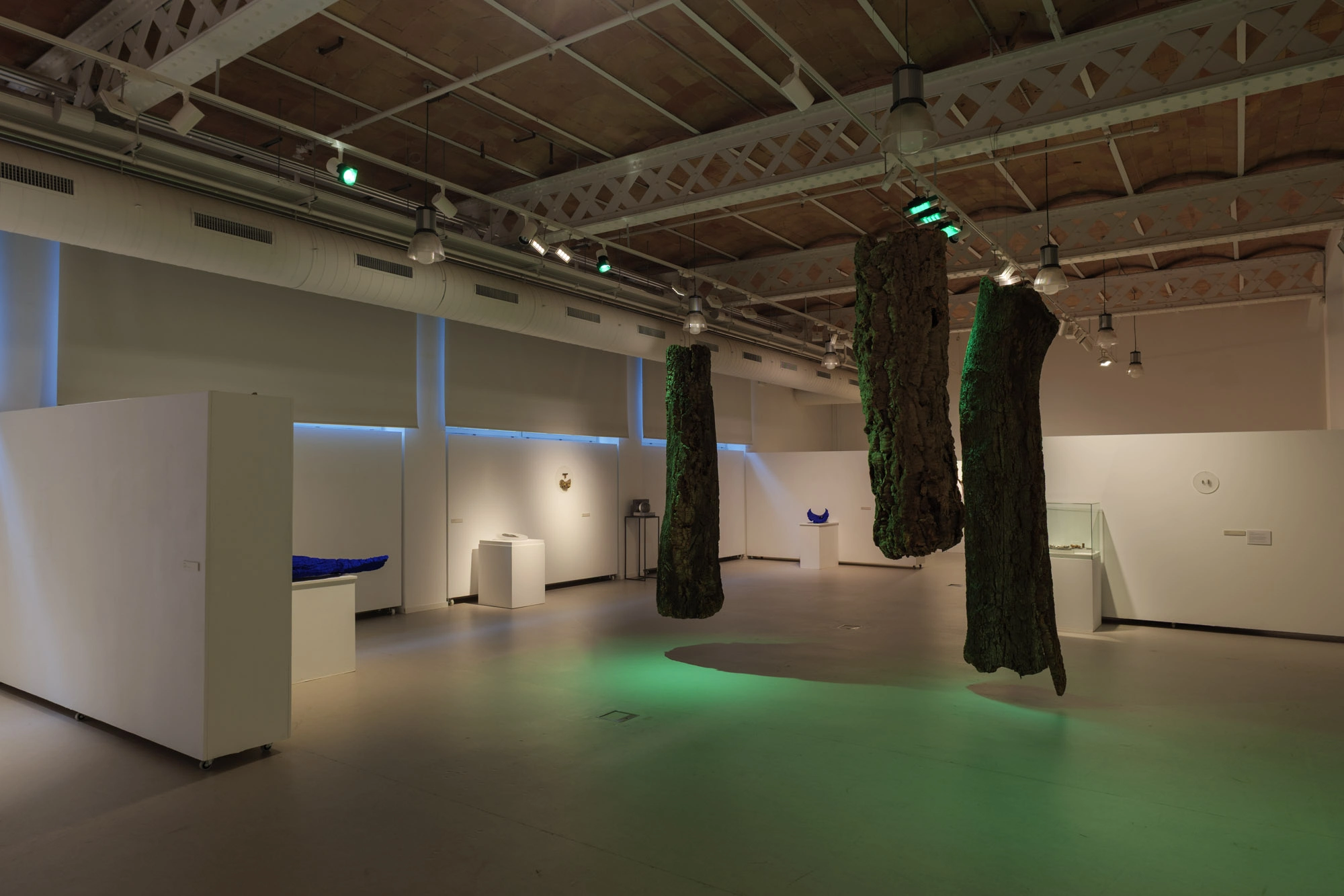 Com pell d'aigua | © Sergi Batlle