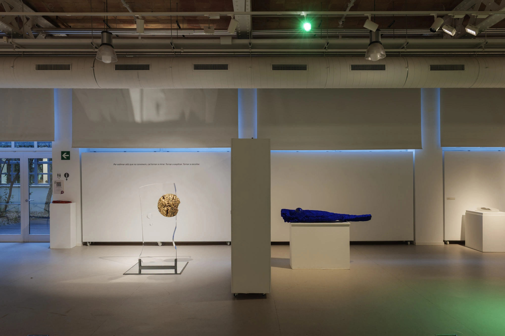 Com pell d'aigua | © Sergi Batlle