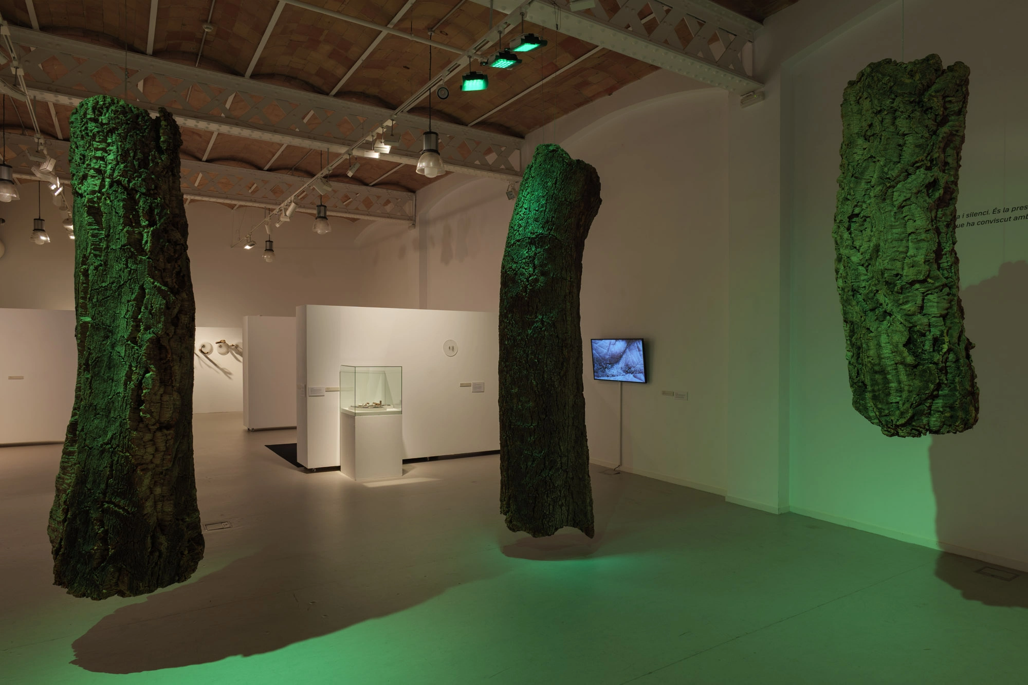 Com pell d'aigua | © Sergi Batlle