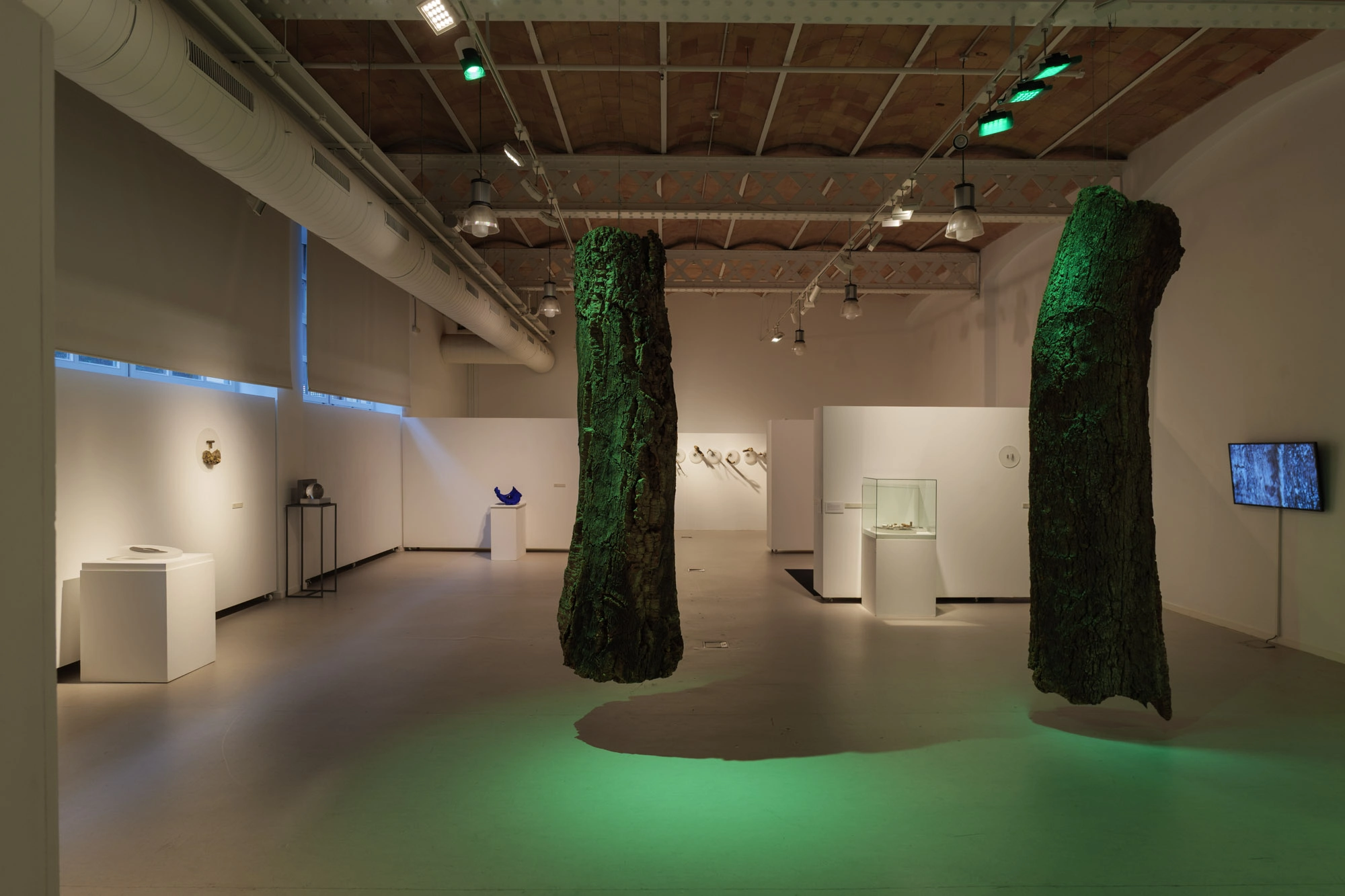 Com pell d'aigua | © Sergi Batlle