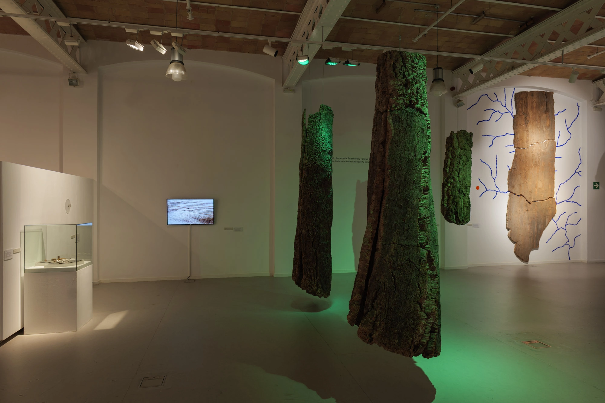 Com pell d'aigua | © Sergi Batlle