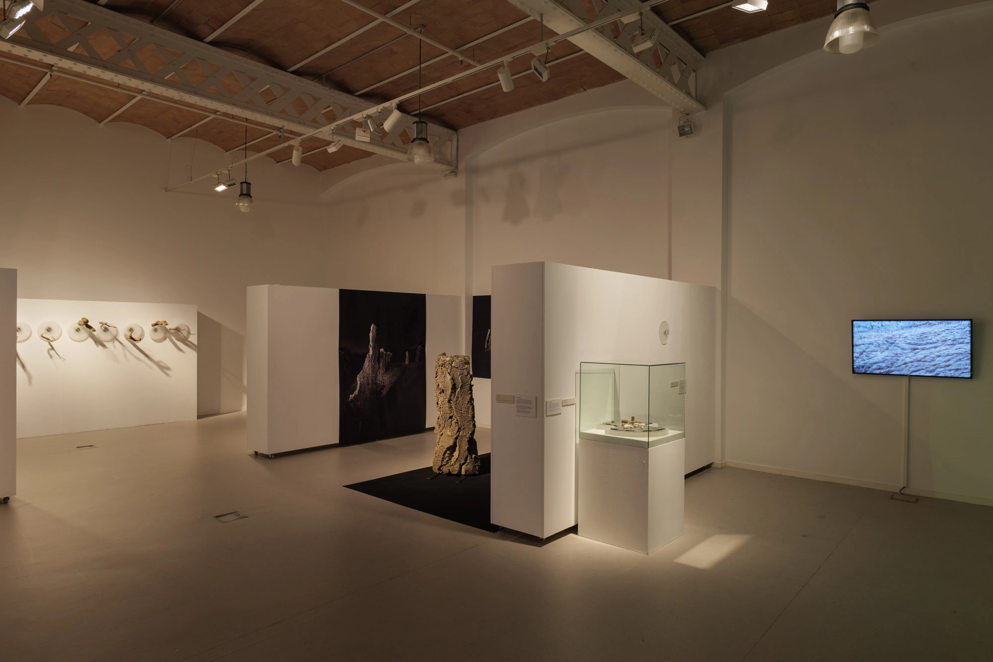 Com pell d'aigua | © Sergi Batlle