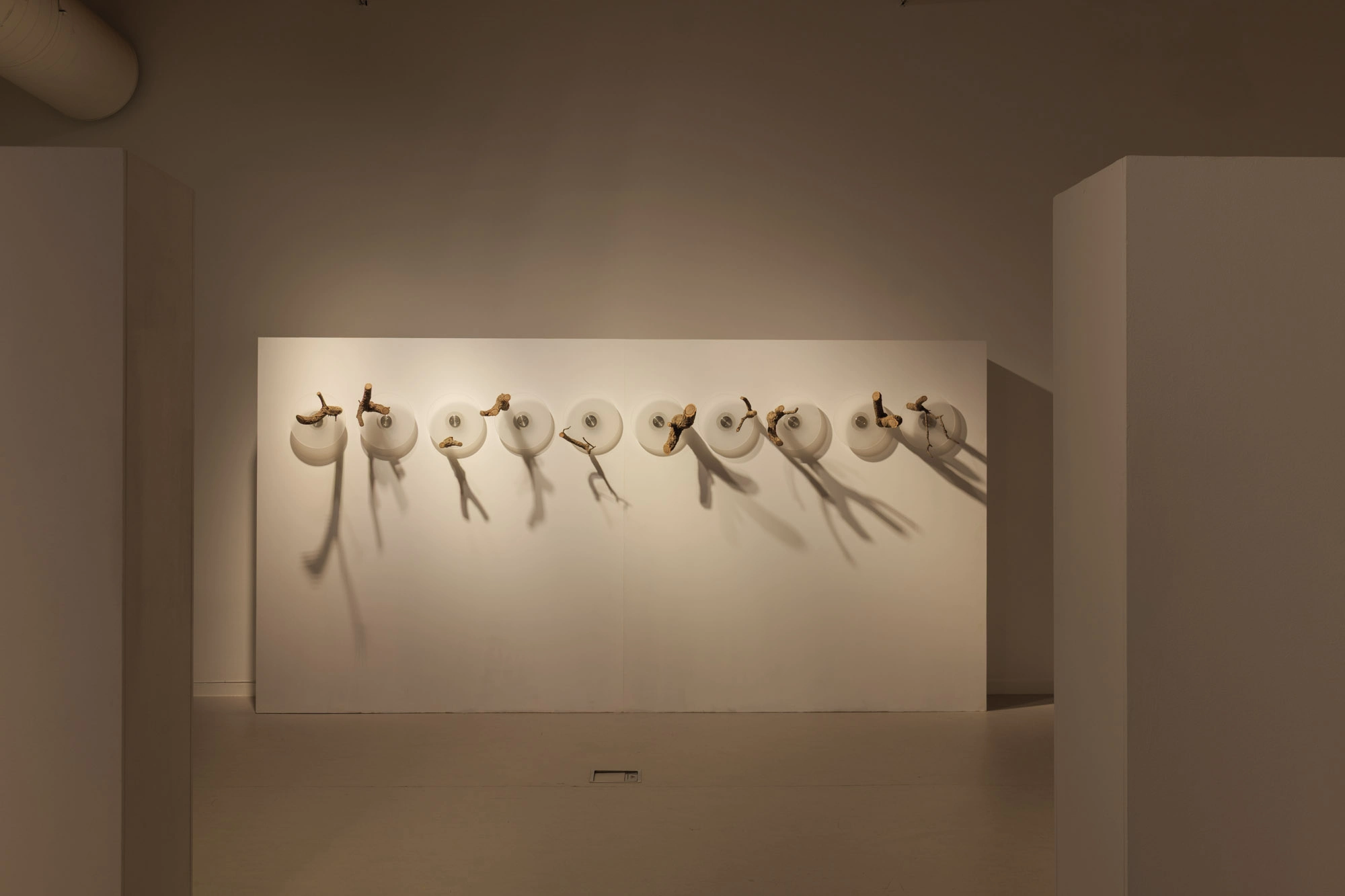 Com pell d'aigua | © Sergi Batlle