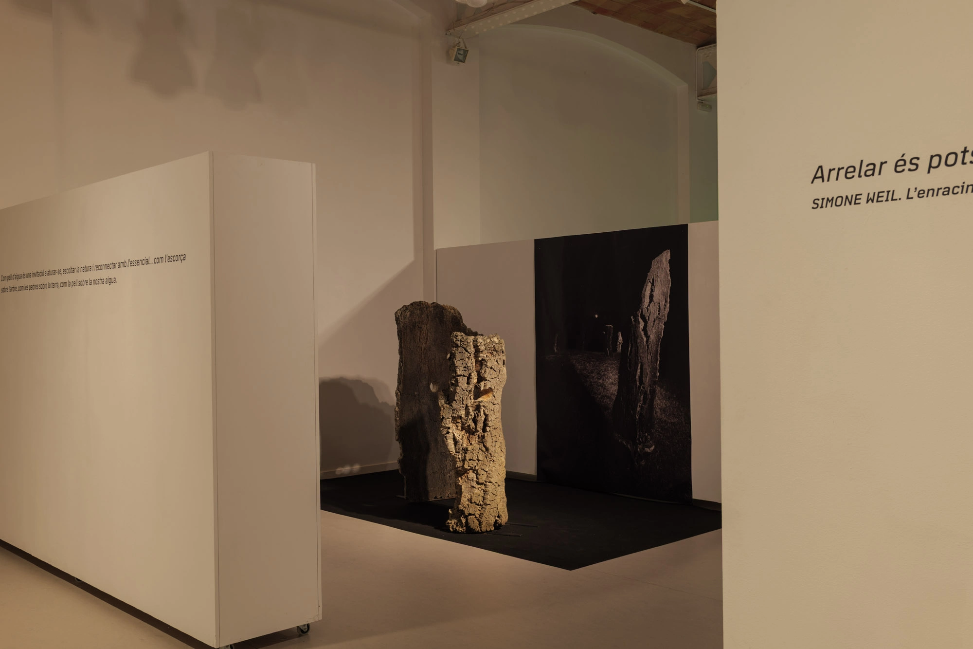 Com pell d'aigua | © Sergi Batlle