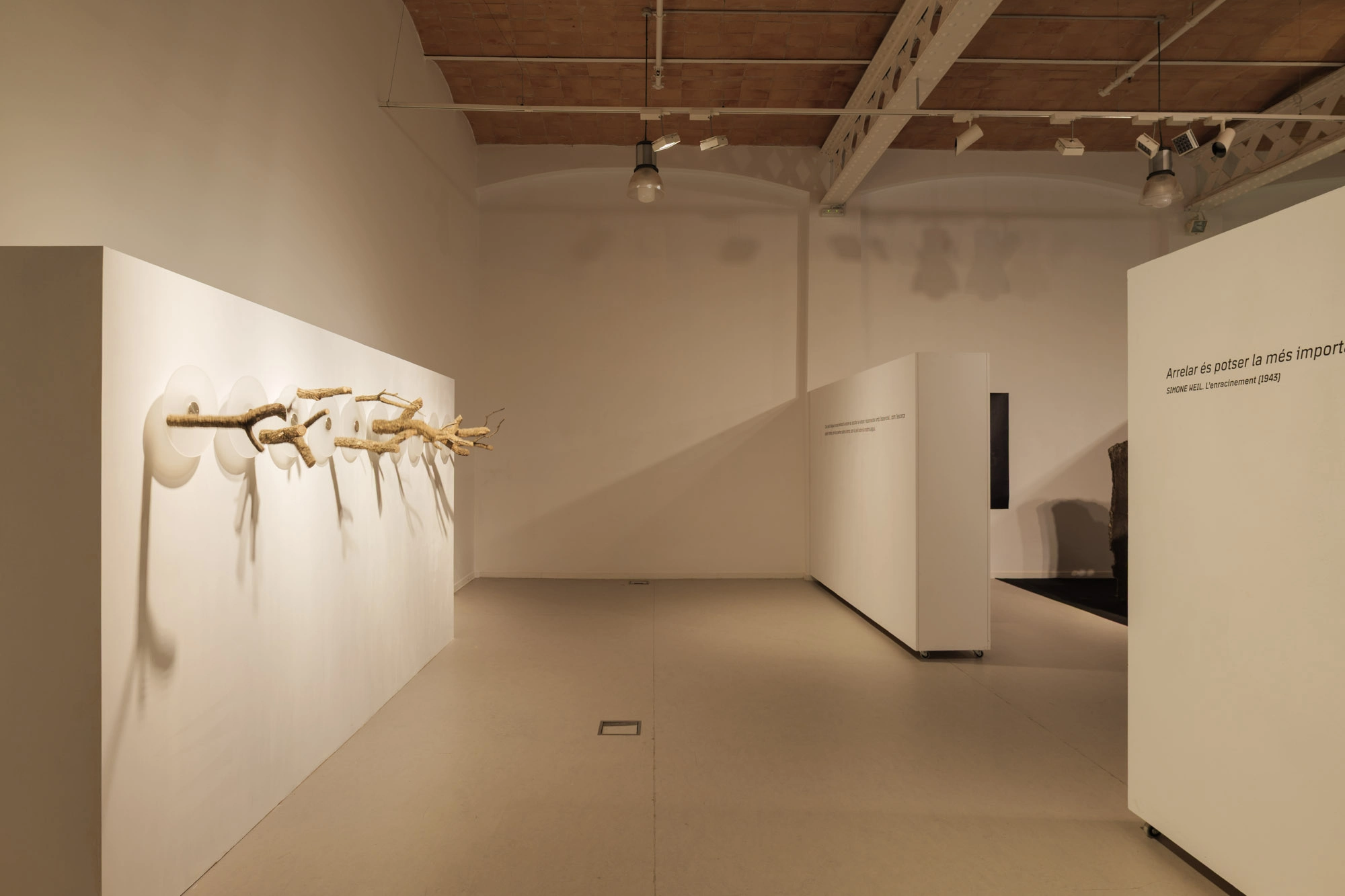 Com pell d'aigua | © Sergi Batlle