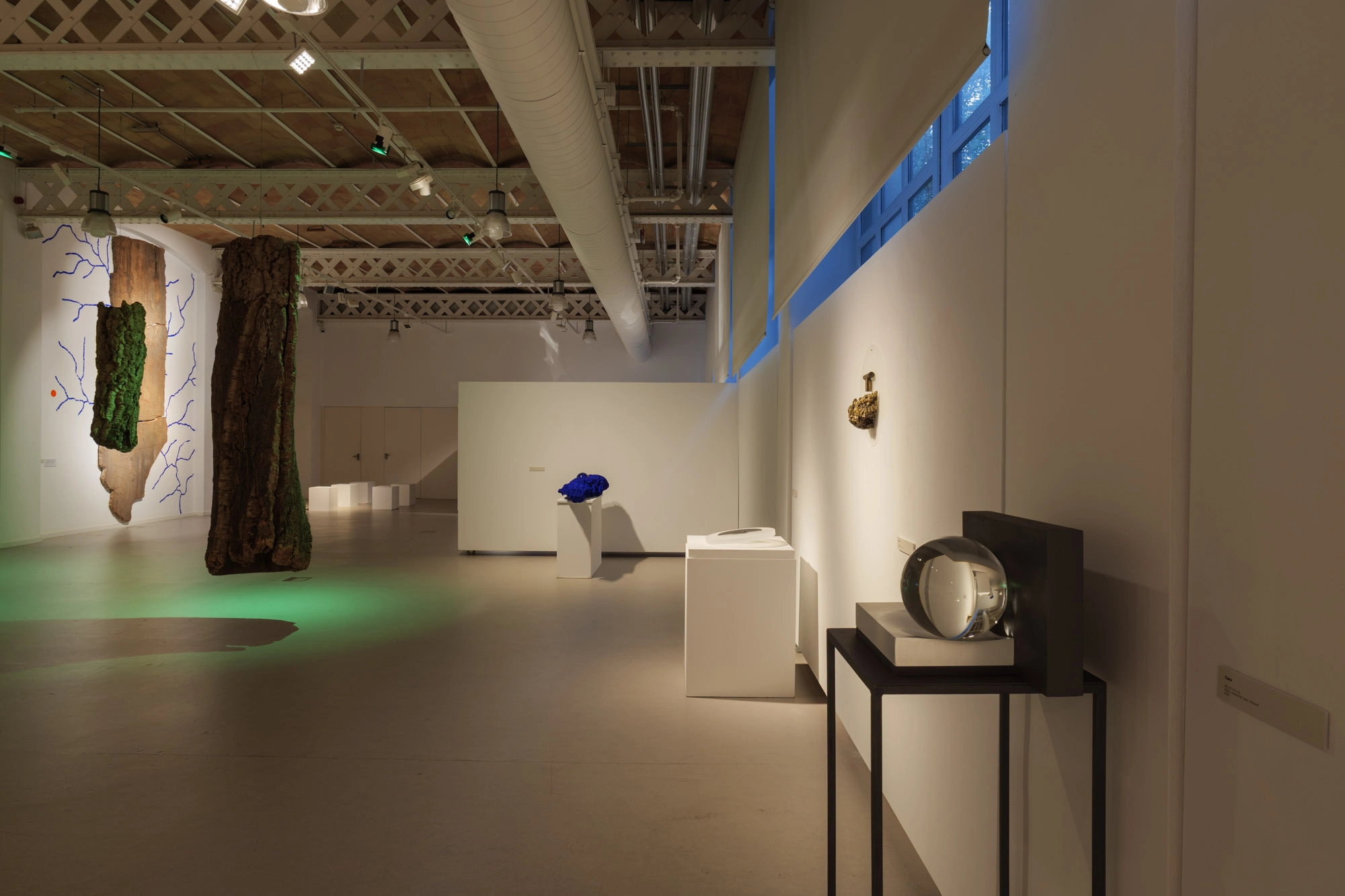 Com pell d'aigua | © Sergi Batlle