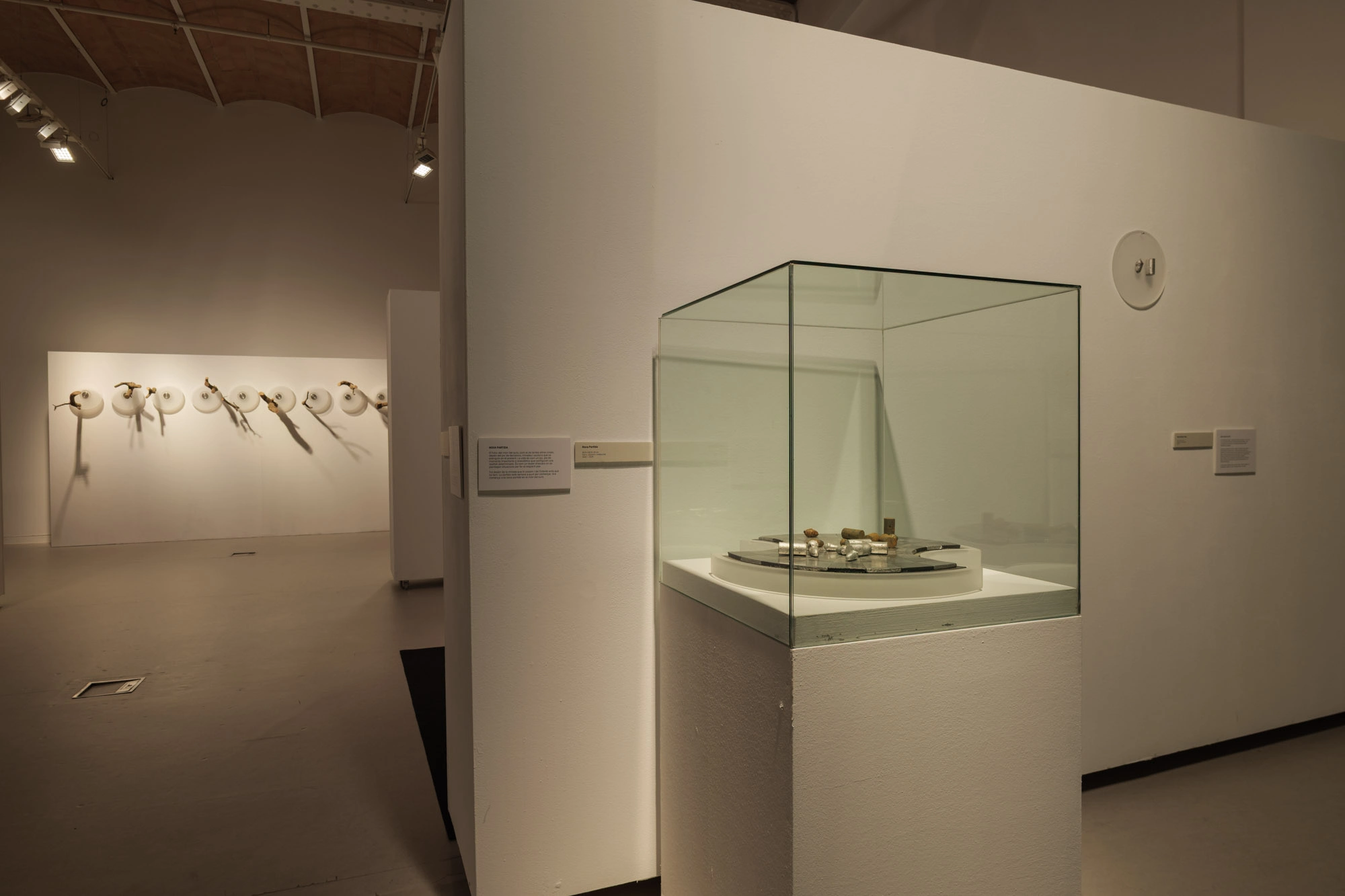 Com pell d'aigua | © Sergi Batlle