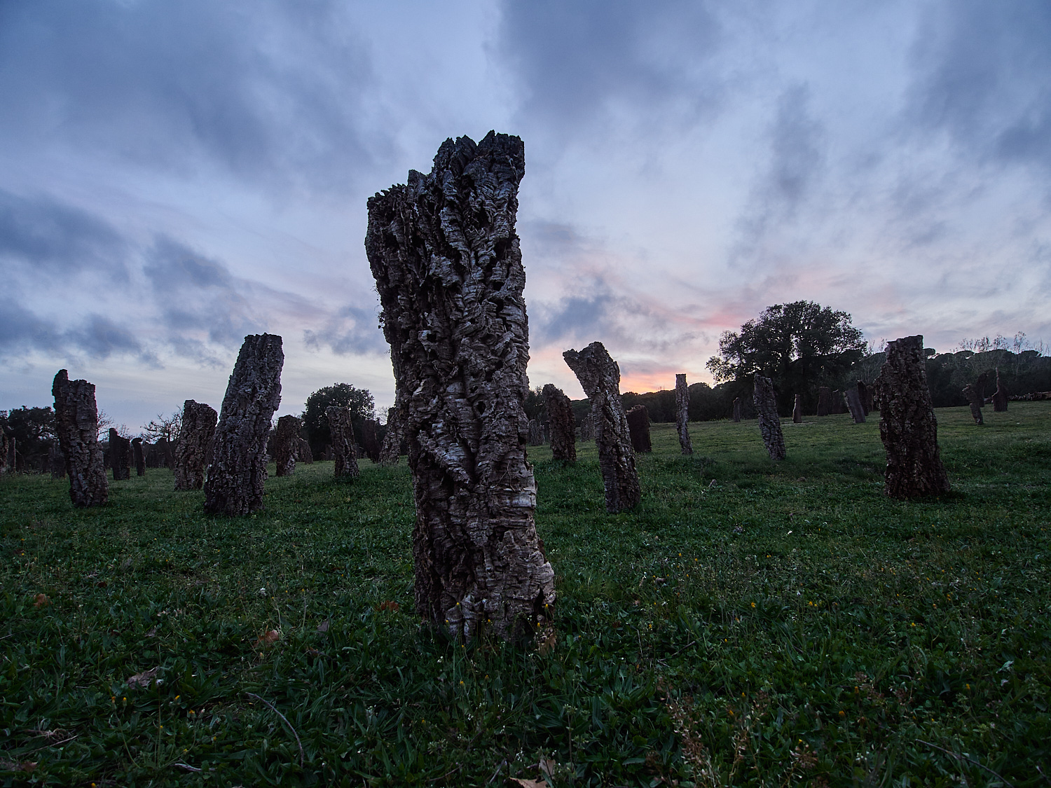 Land Art | Art i Gavarres