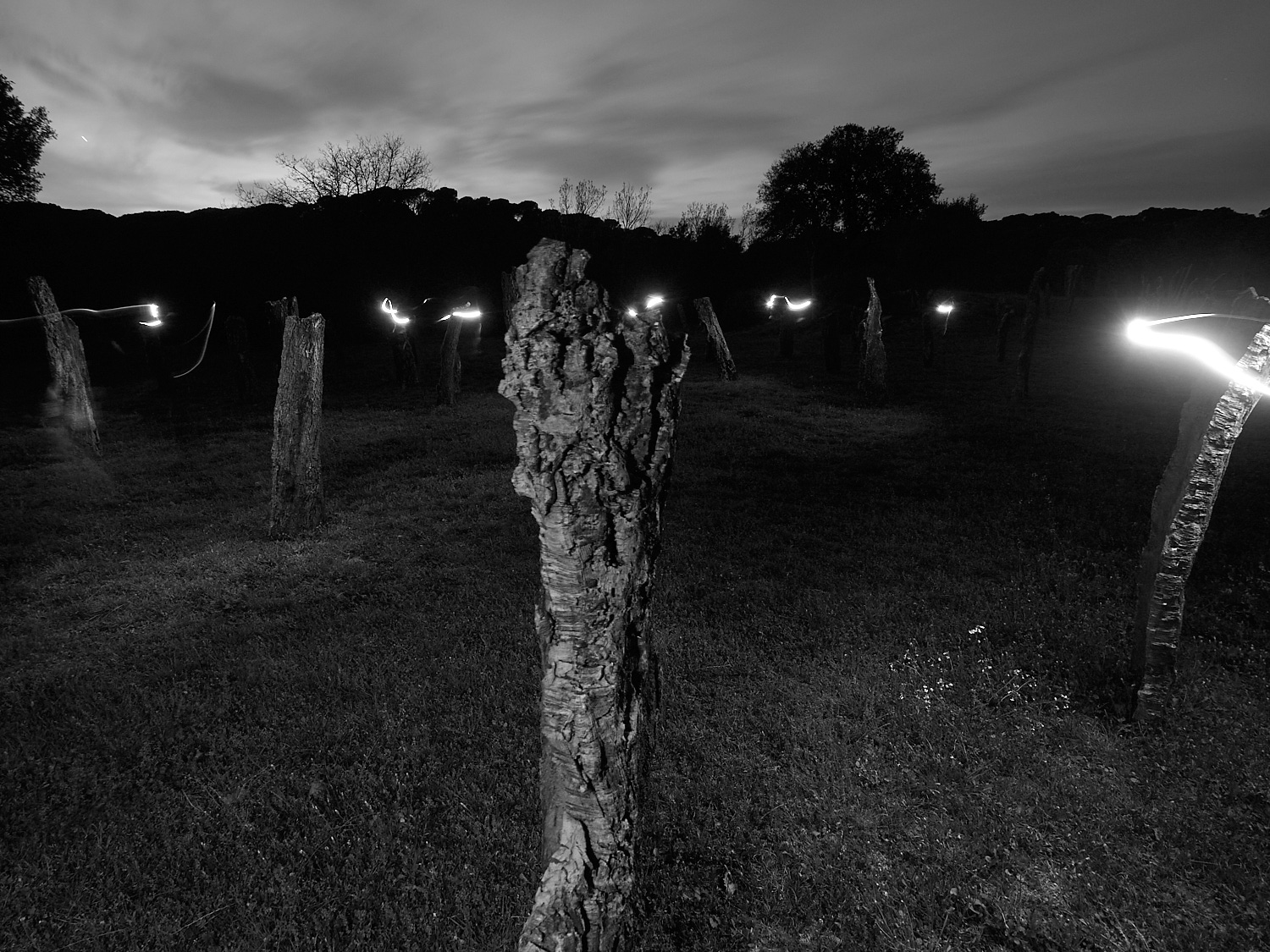 Land Art | Art i Gavarres