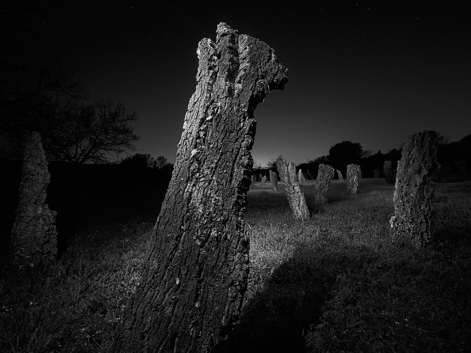 Land Art | Art i Gavarres