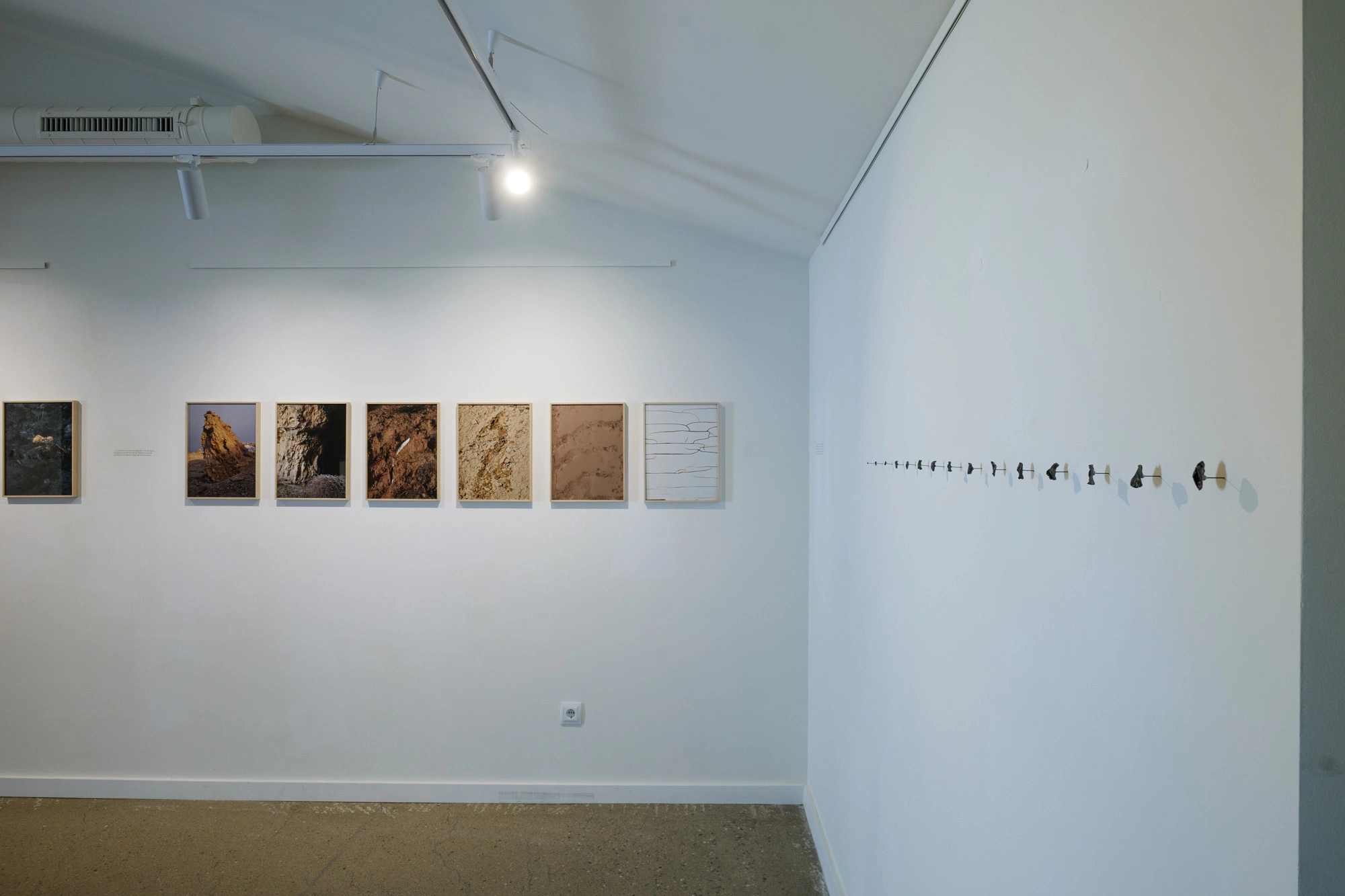 Cubil inaugura la Festa Major de Cassà de la Selva amb una exposició a Can Trinxeria | © Sergi Batlle