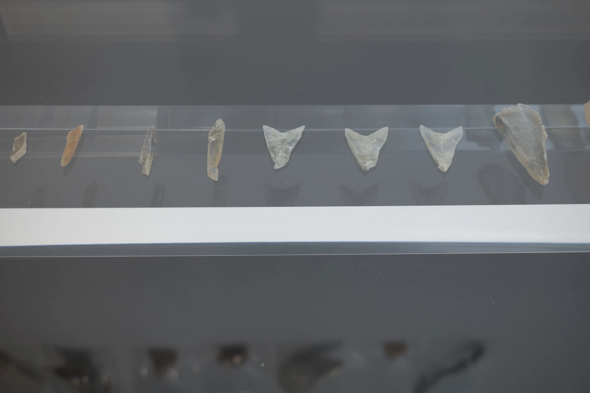 Cubil inaugura la Festa Major de Cassà de la Selva amb una exposició a Can Trinxeria | © Sergi Batlle