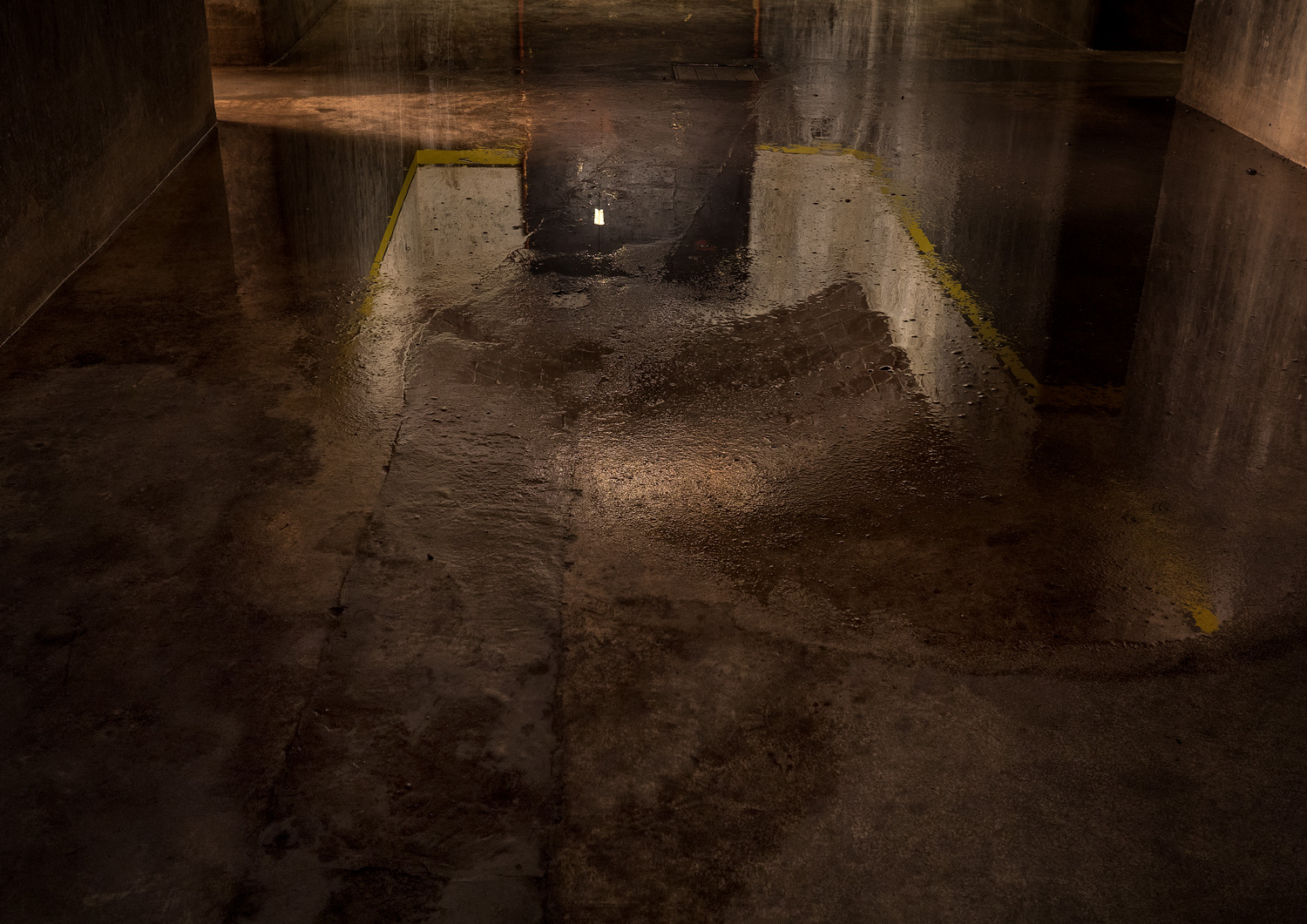 Diàlegs amb el misteri | © Sergi Batlle